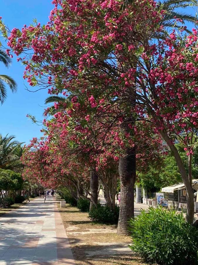 Villa Roan بار المظهر الخارجي الصورة